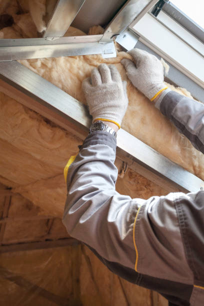 Best Blown-in Insulation in Finderne, NJ
